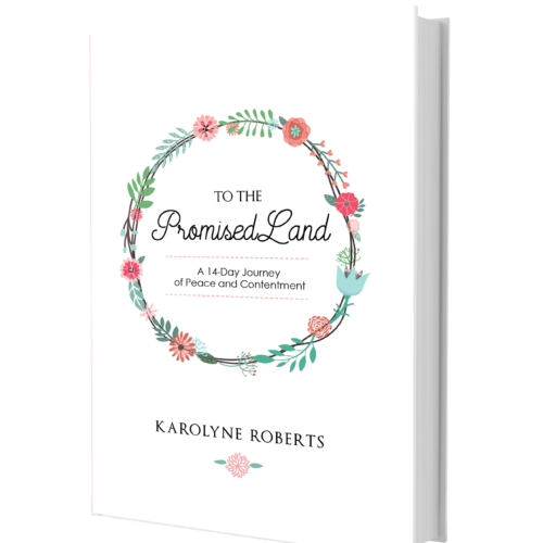 To The Promised Land: A 14-Day Journey of Peace and Contentment